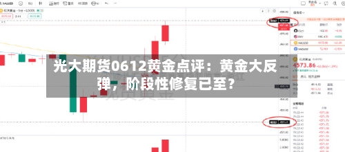 光大期货0612黄金点评：黄金大反弹，阶段性修复已至？-第3张图片