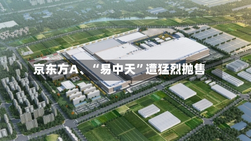京东方A、“易中天”遭猛烈抛售-第3张图片