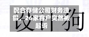 配合存储公司财务造假，26家客户突然被起诉