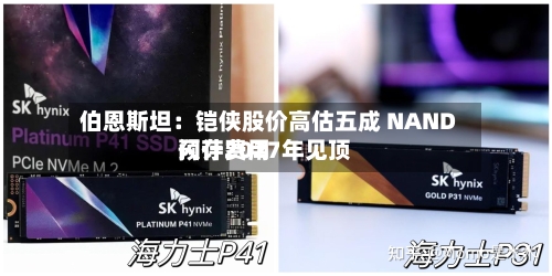 伯恩斯坦:铠侠股价高估五成 NAND闪存费用
预计2027年见顶-第2张图片