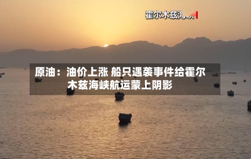 原油:油价上涨 船只遇袭事件给霍尔木兹海峡航运蒙上阴影-第3张图片