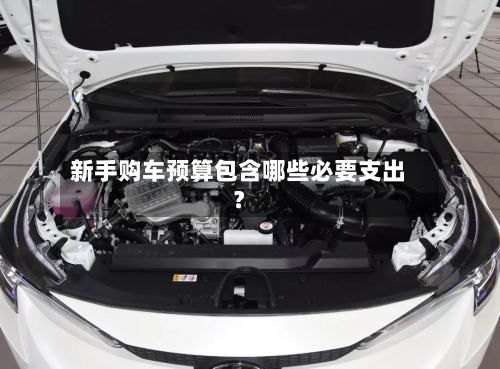 新手购车预算包含哪些必要支出?-第3张图片