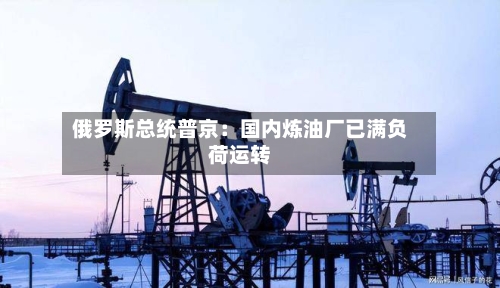 俄罗斯总统普京:国内炼油厂已满负荷运转-第2张图片