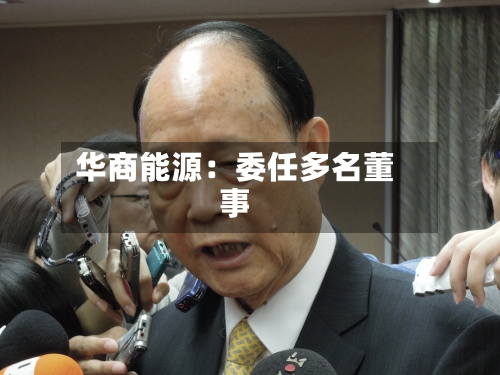 华商能源:委任多名董事-第2张图片