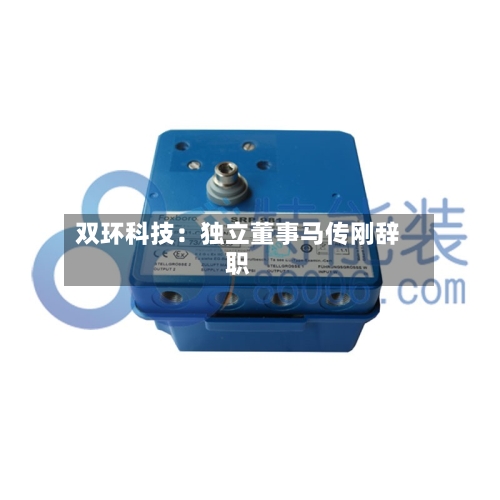 双环科技:独立董事马传刚辞职-第2张图片