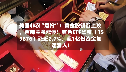 美国非农“爆冷”！黄金股领衔上攻，西部黄金涨停！有色ETF华宝（159876）涨近2.7%，超1亿份资金加速涌入！-第3张图片