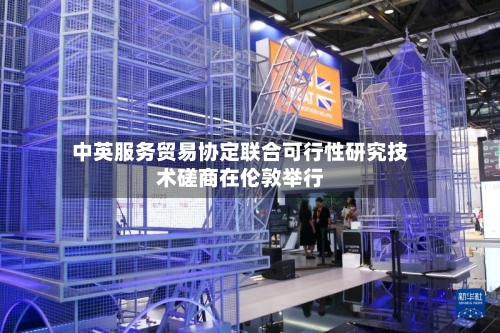 中英服务贸易协定联合可行性研究技术磋商在伦敦举行
