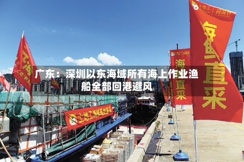 广东:深圳以东海域所有海上作业渔船全部回港避风-第2张图片