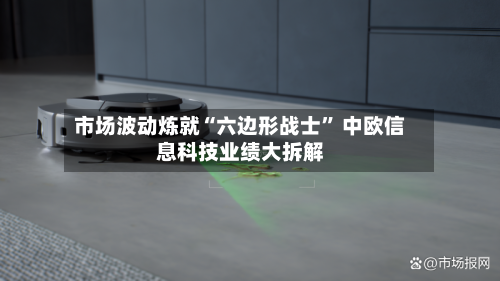 市场波动炼就“六边形战士” 中欧信息科技业绩大拆解-第2张图片