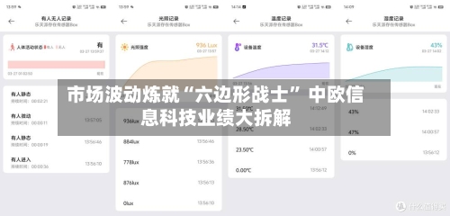 市场波动炼就“六边形战士” 中欧信息科技业绩大拆解-第3张图片