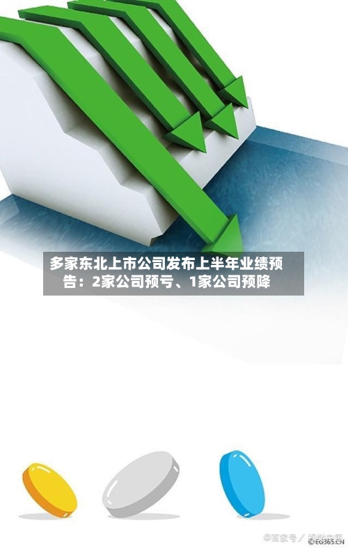 多家东北上市公司发布上半年业绩预告：2家公司预亏、1家公司预降-第2张图片