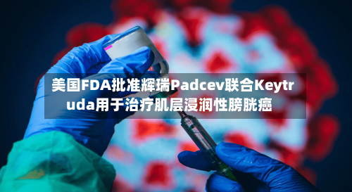 美国FDA批准辉瑞Padcev联合Keytruda用于治疗肌层浸润性膀胱癌