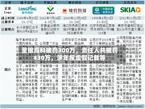荃银高科被罚300万，责任人共被罚430万	，涉年报虚假记载等-第2张图片