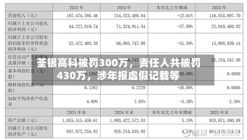 荃银高科被罚300万，责任人共被罚430万，涉年报虚假记载等-第1张图片