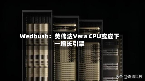 Wedbush：英伟达Vera CPU或成下一增长引擎-第2张图片