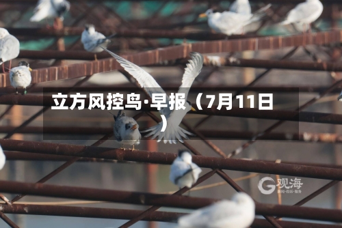 立方风控鸟·早报(7月11日)
