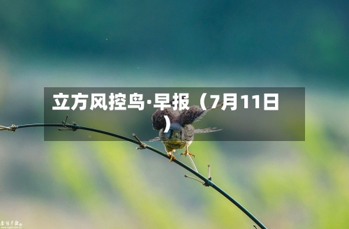 立方风控鸟·早报（7月11日）-第3张图片