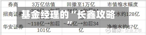 基金经理的“长鑫攻略”-第3张图片