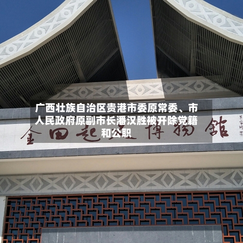 广西壮族自治区贵港市委原常委、市人民政府原副市长潘汉胜被开除党籍和公职-第3张图片