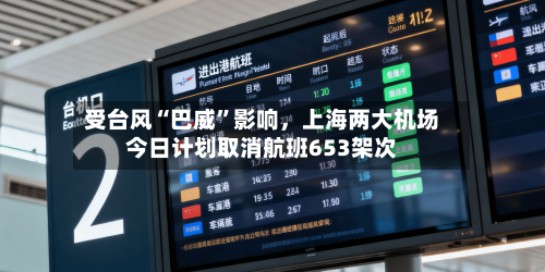 受台风“巴威”影响	，上海两大机场今日计划取消航班653架次-第2张图片