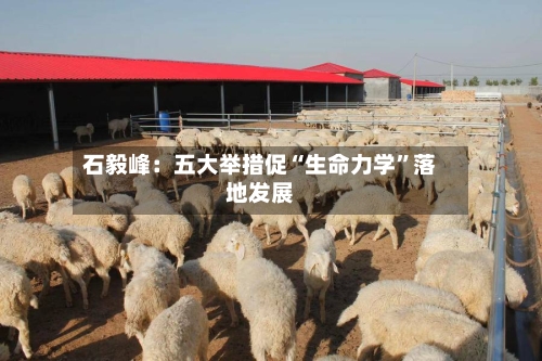 石毅峰：五大举措促“生命力学”落地发展