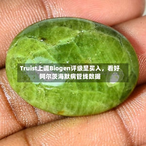 Truist上调Biogen评级至买入，看好阿尔茨海默病管线数据-第2张图片
