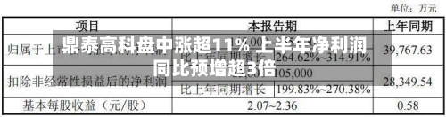 鼎泰高科盘中涨超11% 上半年净利润同比预增超3倍-第2张图片