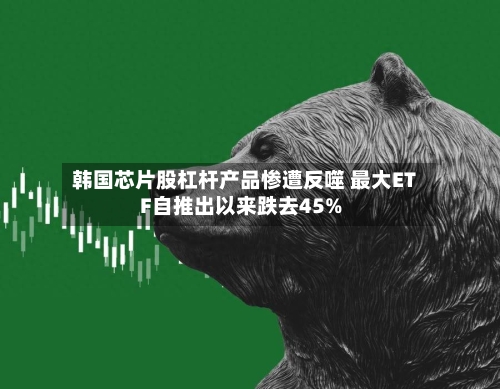 韩国芯片股杠杆产品惨遭反噬 最大ETF自推出以来跌去45%-第2张图片