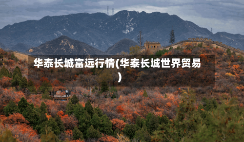 华泰长城富远行情(华泰长城世界贸易)-第1张图片