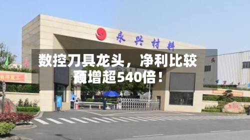 数控刀具龙头,净利比较高
预增超540倍!