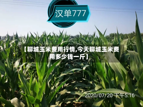 【聊城玉米费用行情,今天聊城玉米费用多少钱一斤】-第1张图片