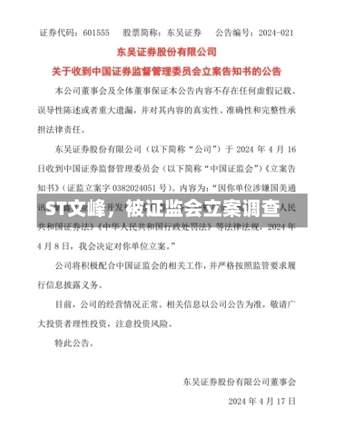 ST文峰	，被证监会立案调查-第2张图片