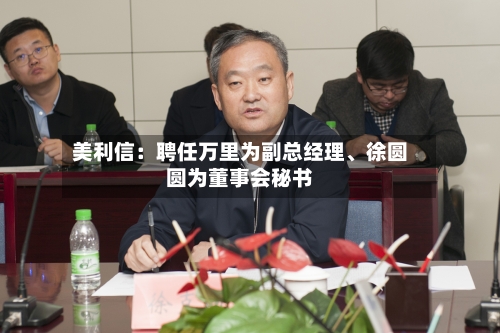 美利信：聘任万里为副总经理、徐圆圆为董事会秘书-第3张图片