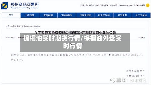 棕榈油实时期货行情/棕榈油外盘实时行情-第1张图片