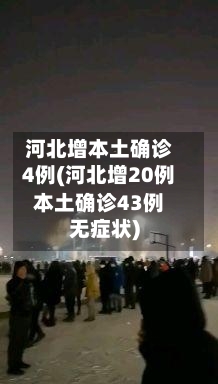 河北增本土确诊4例(河北增20例本土确诊43例无症状)-第1张图片