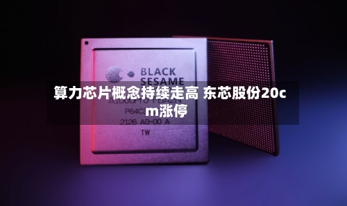 算力芯片概念持续走高 东芯股份20cm涨停-第2张图片