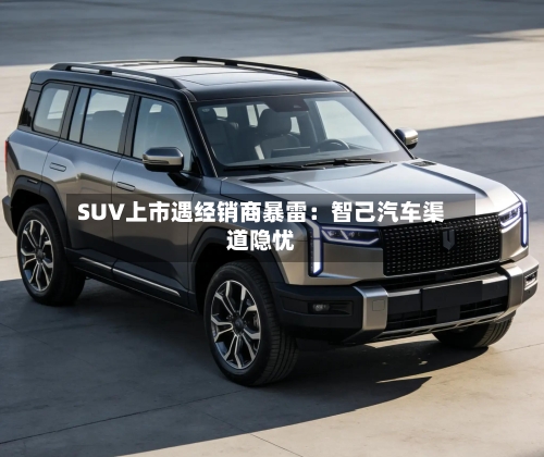 SUV上市遇经销商暴雷:智己汽车渠道隐忧-第3张图片