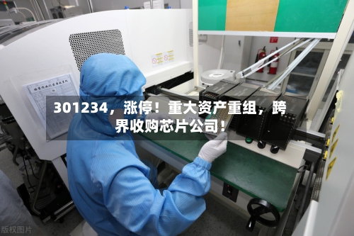 301234	，涨停！重大资产重组，跨界收购芯片公司！-第2张图片