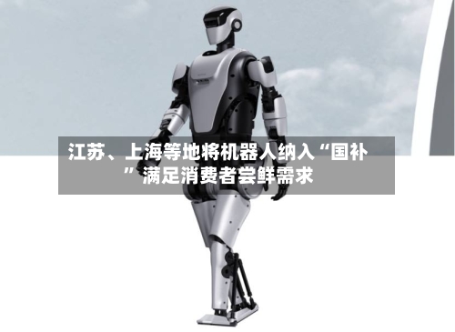 江苏、上海等地将机器人纳入“国补” 满足消费者尝鲜需求