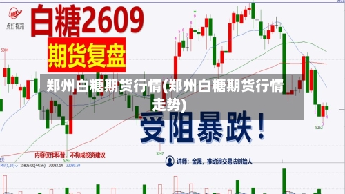郑州白糖期货行情(郑州白糖期货行情走势)-第2张图片