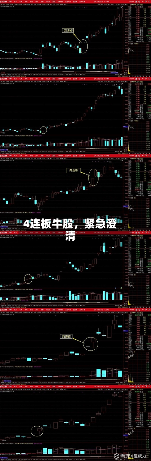 4连板牛股，紧急澄清-第2张图片