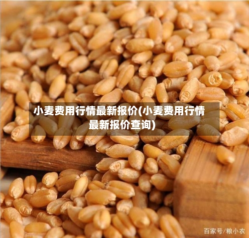小麦费用行情最新报价(小麦费用行情最新报价查询)