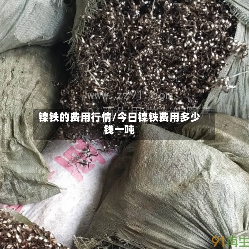 镍铁的费用行情/今日镍铁费用多少钱一吨