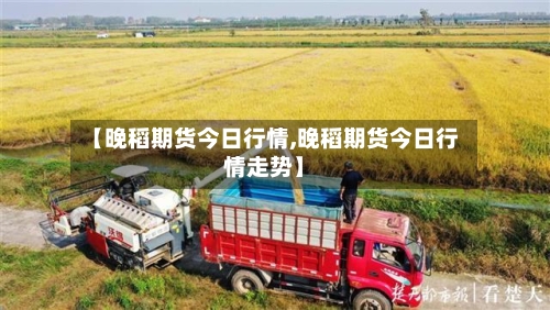 【晚稻期货今日行情,晚稻期货今日行情走势】