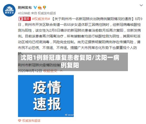 沈阳1例新冠康复患者复阳/沈阳一病例复阳