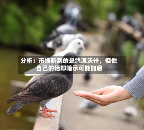 分析：市场听到的是鸽派沃什	，但他自己的话却暗示可能加息-第2张图片