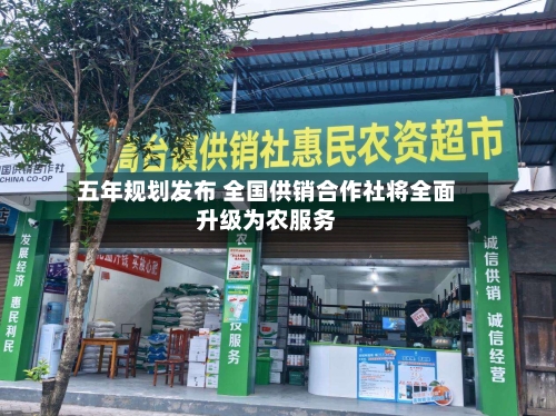 五年规划发布 全国供销合作社将全面升级为农服务