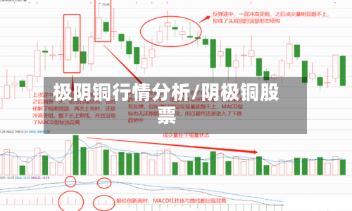 极阴铜行情分析/阴极铜股票