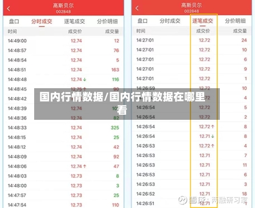 国内行情数据/国内行情数据在哪里看