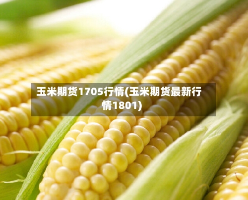 玉米期货1705行情(玉米期货最新行情1801)-第2张图片